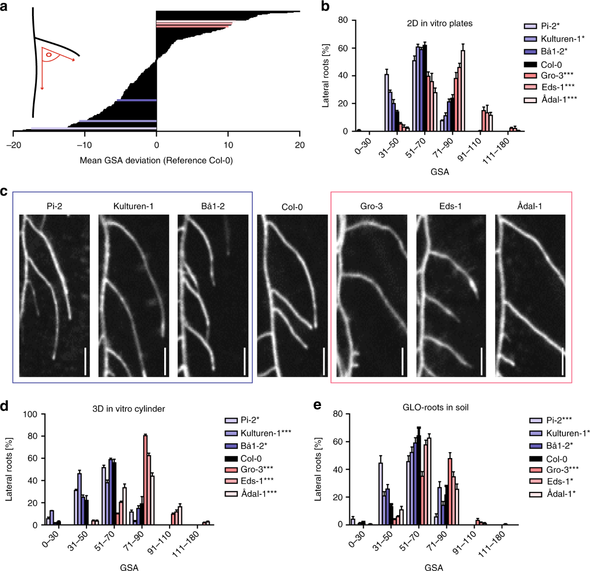 Cytokinin functions as an asymmetric and anti-gravitropic signal in lateral  roots