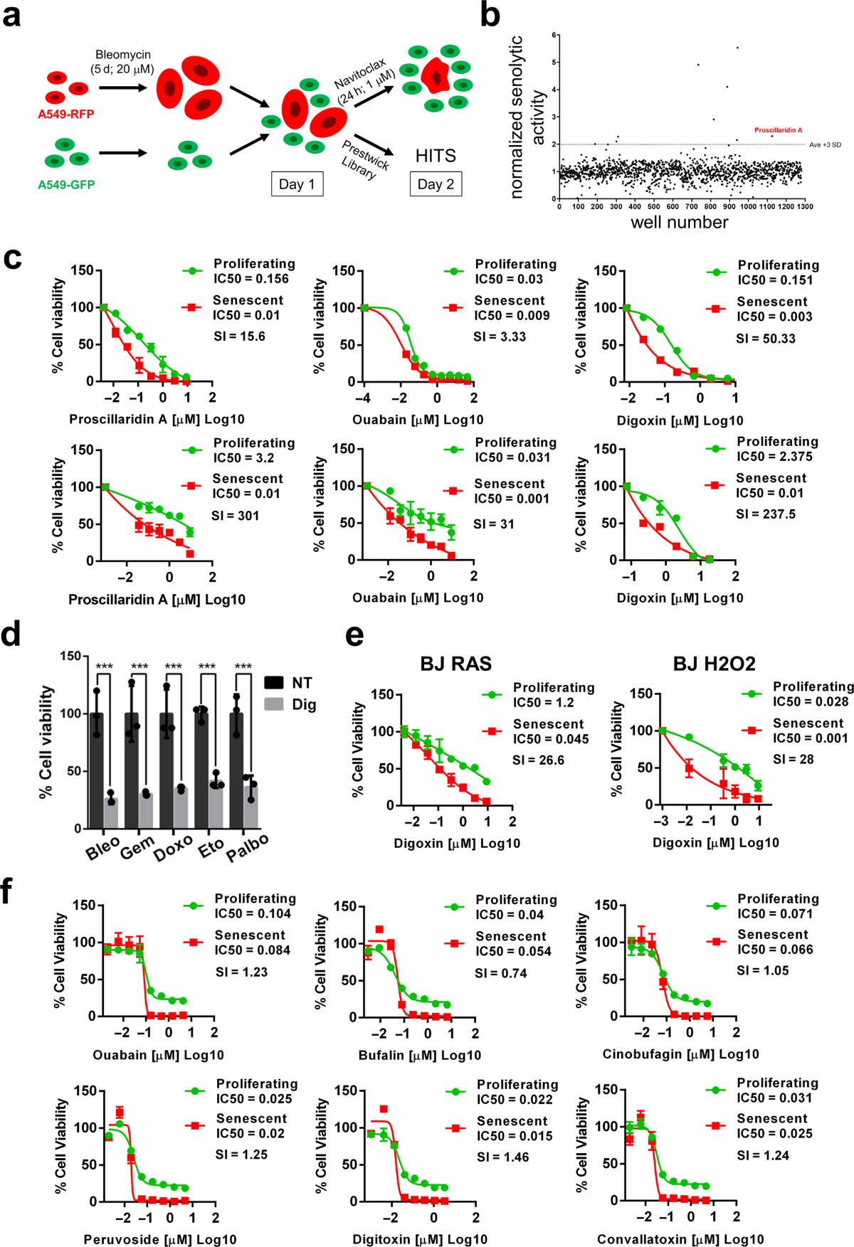 Identification and characterization of Cardiac Glycosides as senolytic  compounds | Nature Communications