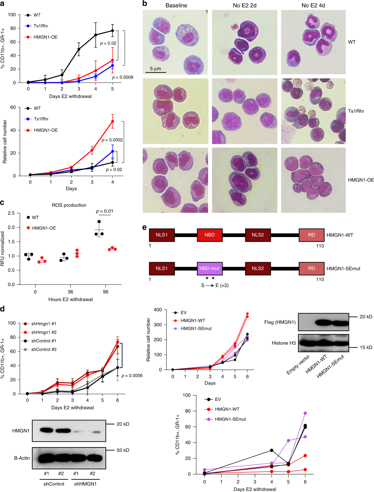 Chromatin accessibility promotes hematopoietic and leukemia stem cell  activity | Nature Communications