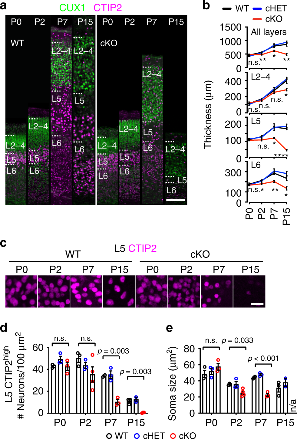 Deletion of Topoisomerase 1 in excitatory neurons causes genomic  instability and early onset neurodegeneration | Nature Communications