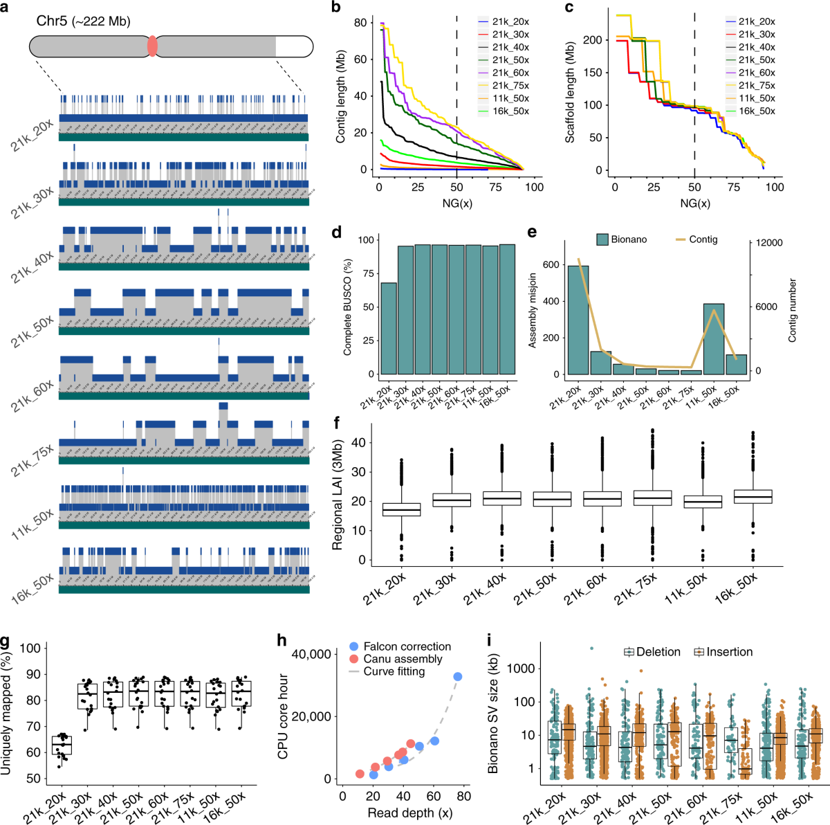 Effect of sequence depth and length in long-read assembly of the maize  inbred NC358 | Nature Communications