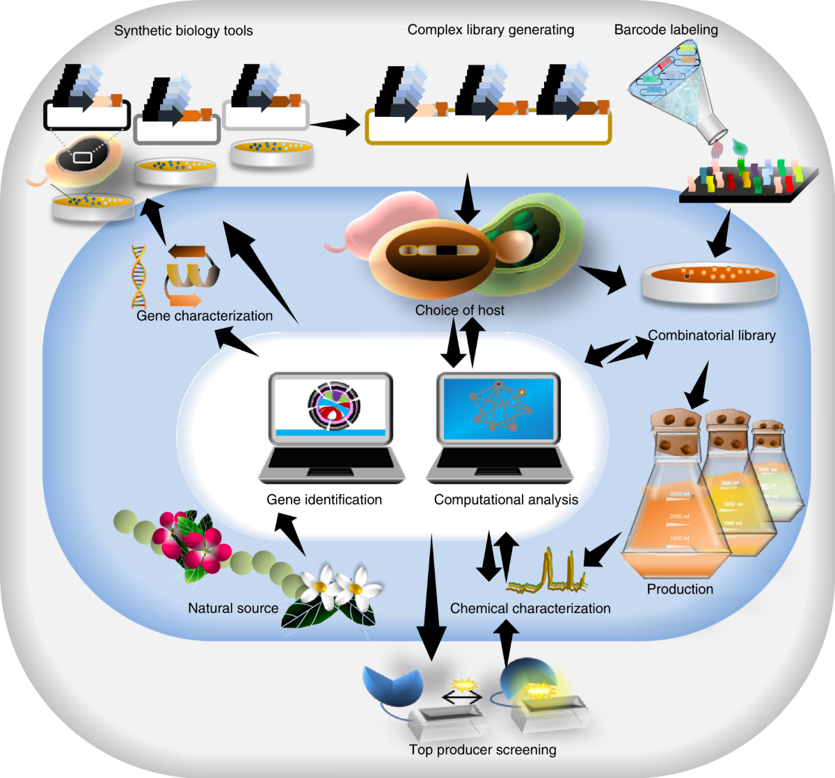 Application of combinatorial optimization strategies in synthetic 
