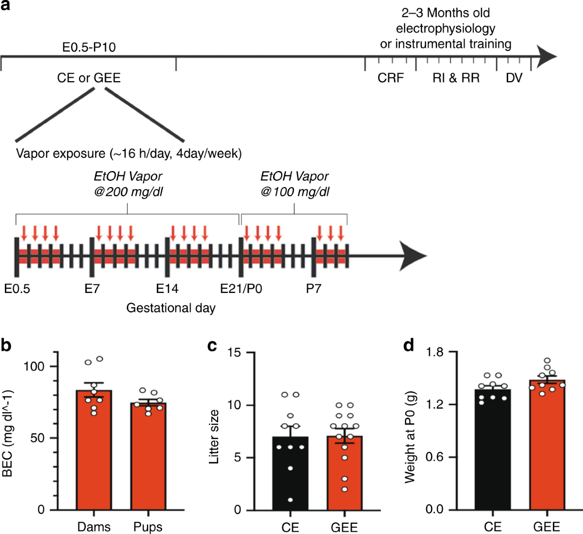 Gestational alcohol exposure disrupts cognitive function and striatal  circuits in adult offspring | Nature Communications