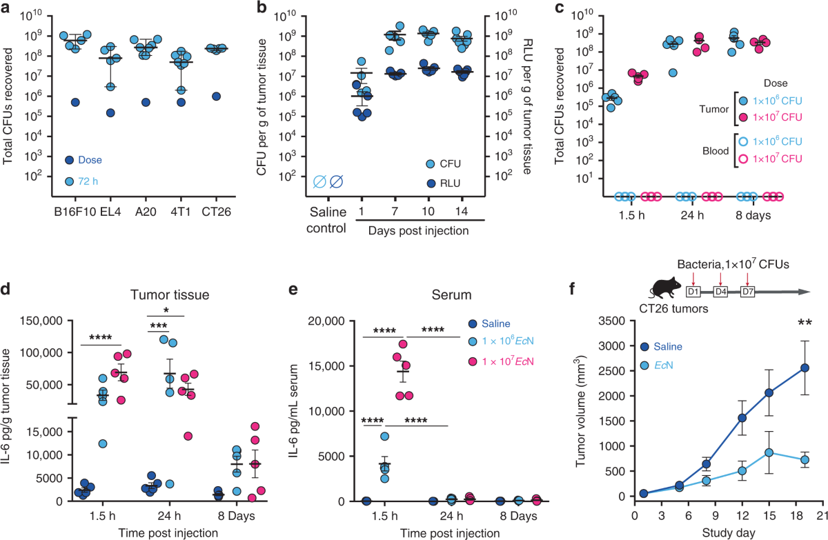Genetic improvement of phosphate-limited photosynthesis for high yield in  rice | PNAS, image size:1200x783