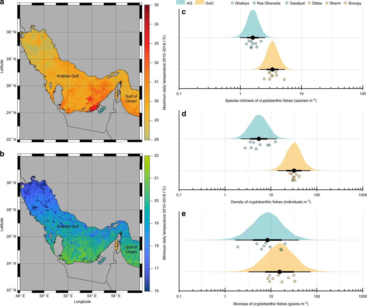 Extreme environmental conditions reduce coral reef fish biodiversity