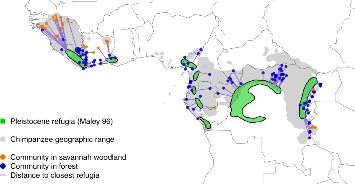 Environmental variability supports chimpanzee behavioural ...