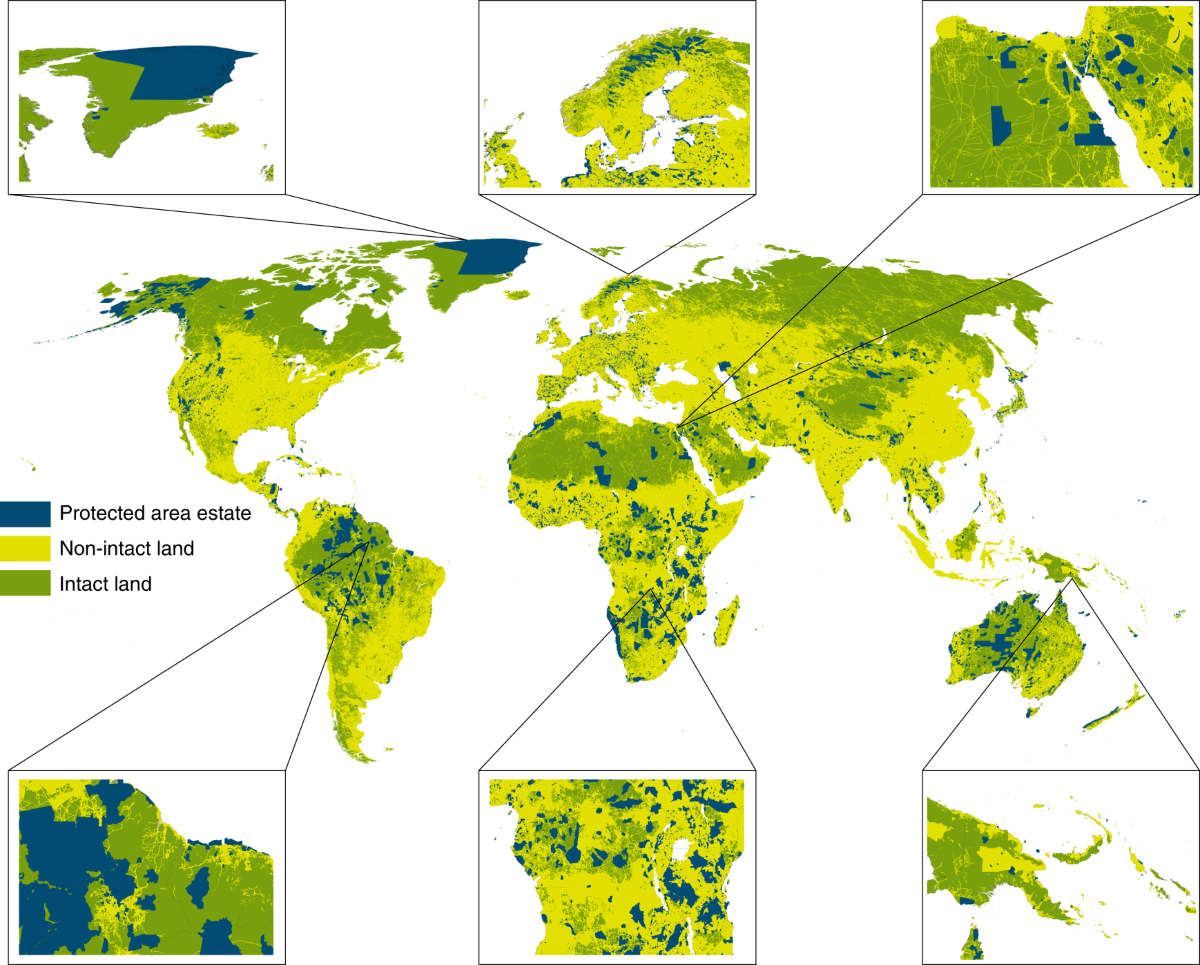 Just ten percent of the global terrestrial protected area network is  structurally connected via intact land
