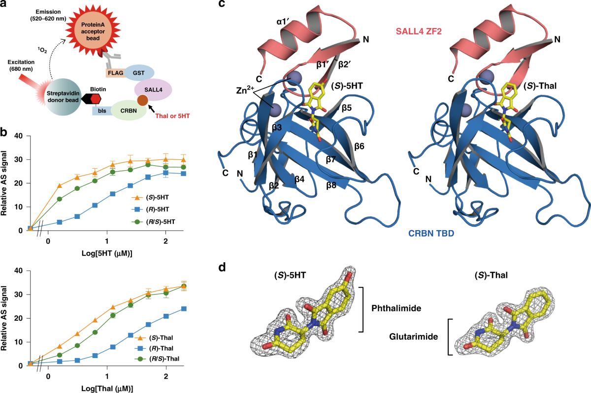 glutathione for jaundice Inherited disorders of bilirubin clearance