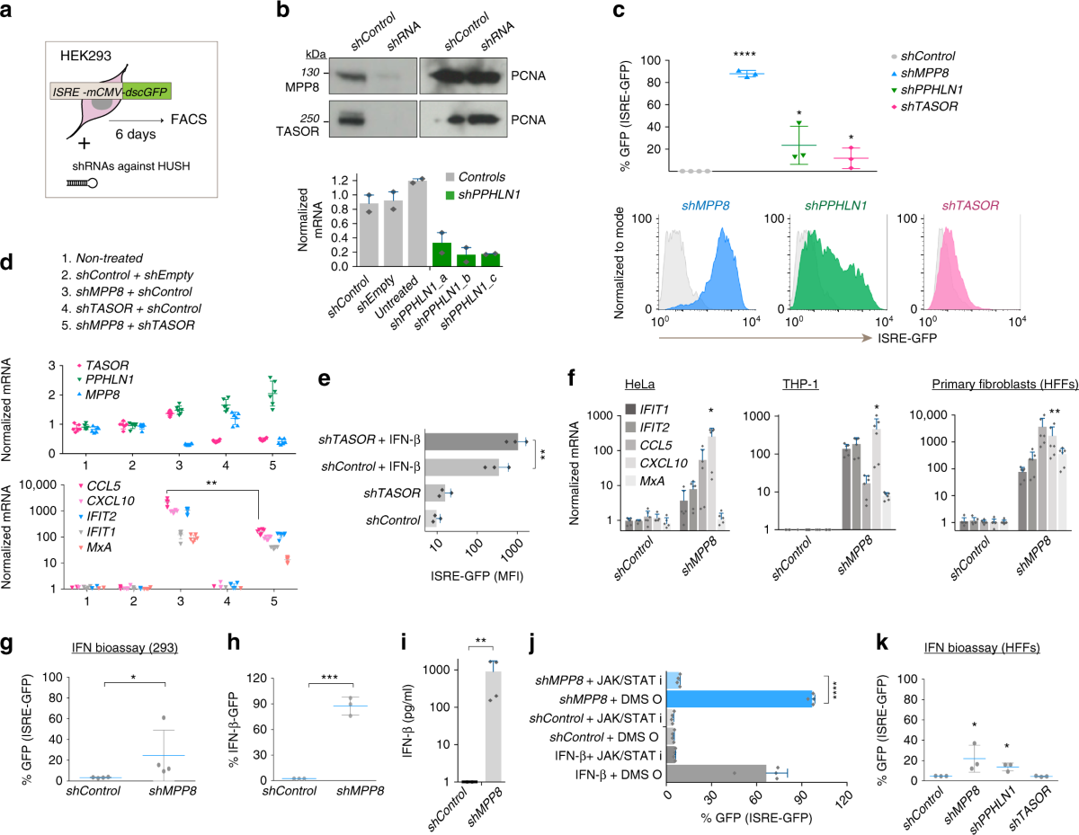 The HUSH complex is a gatekeeper of type I interferon through epigenetic regulation of LINE-1s Nature Communications