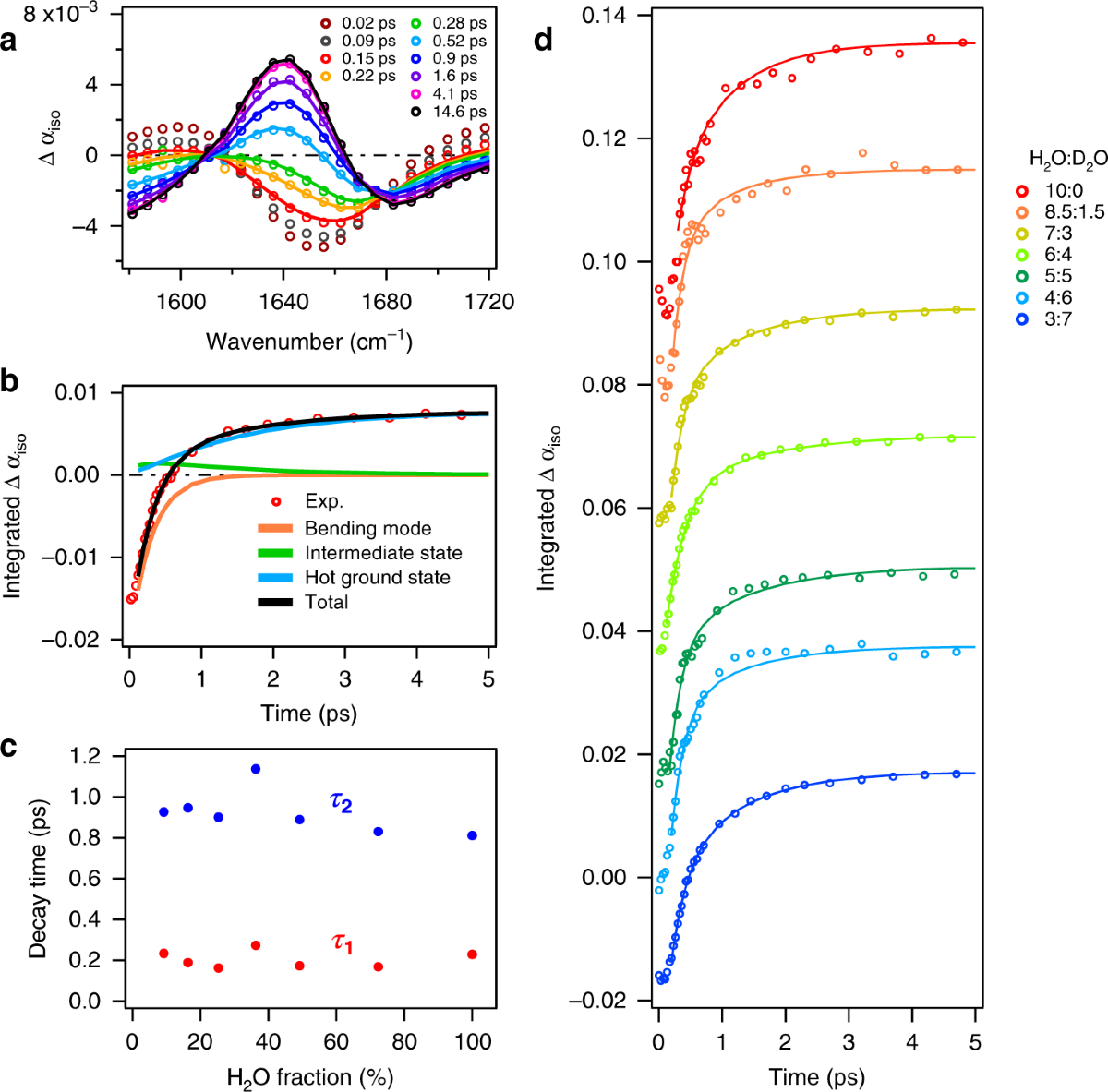 Vibrational couplings and energy transfer pathways of water's bending mode 