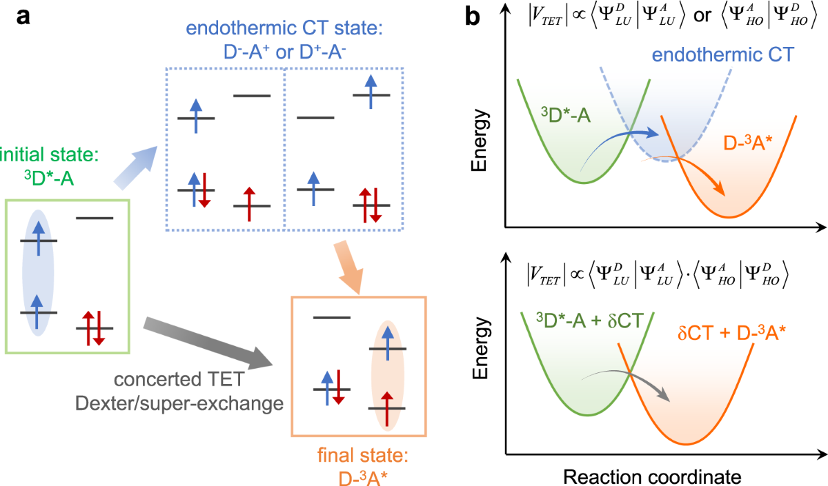 Shallow distance-dependent triplet energy migration mediated by 