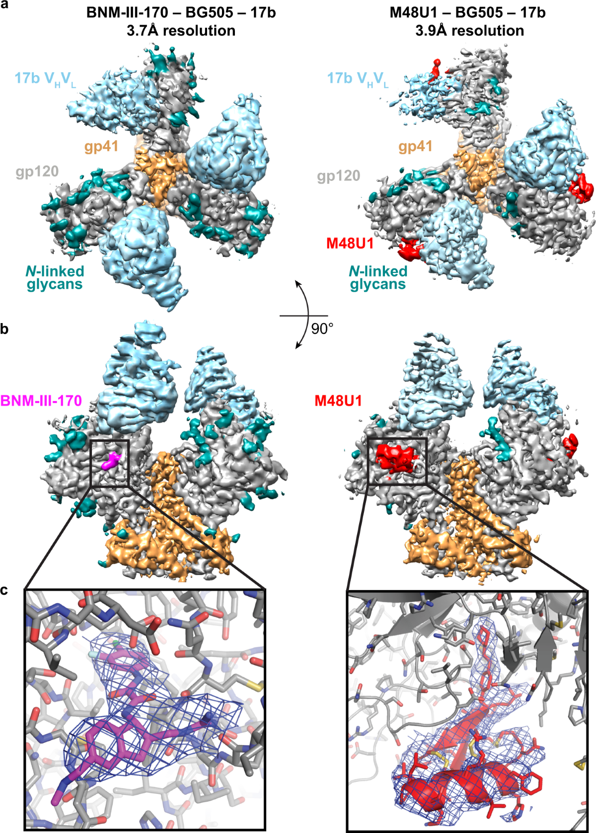 Cryo-EM structures of HIV-1 trimer bound to CD4-mimetics BNM-III-170 and  M48U1 adopt a CD4-bound open conformation | Nature Communications