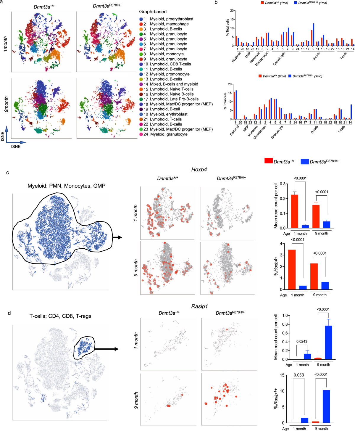 Functional and epigenetic phenotypes of humans and mice with DNMT3A  Overgrowth Syndrome | Nature Communications