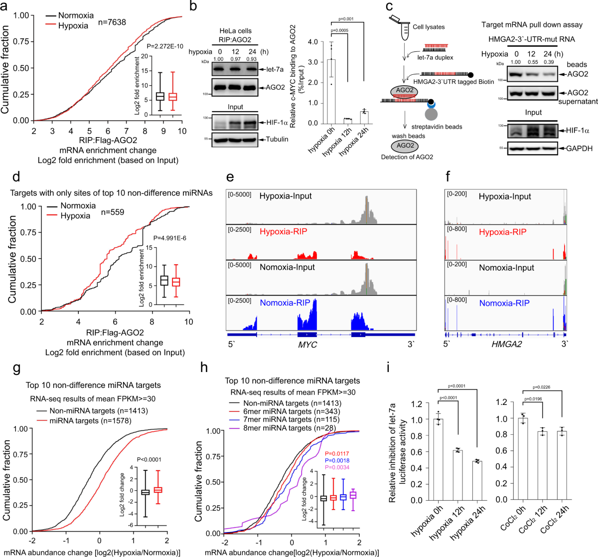 Hypoxia regulates overall mRNA homeostasis by inducing Met1-linked linear ubiquitination of AGO2 in cancer cells | Nature Communications hypoxia-regulates-overall-mrna-homeostasis-by-inducing-met1-linked-linear-ubiquitination-of-ago2-in-cancer-cells-nature-communications