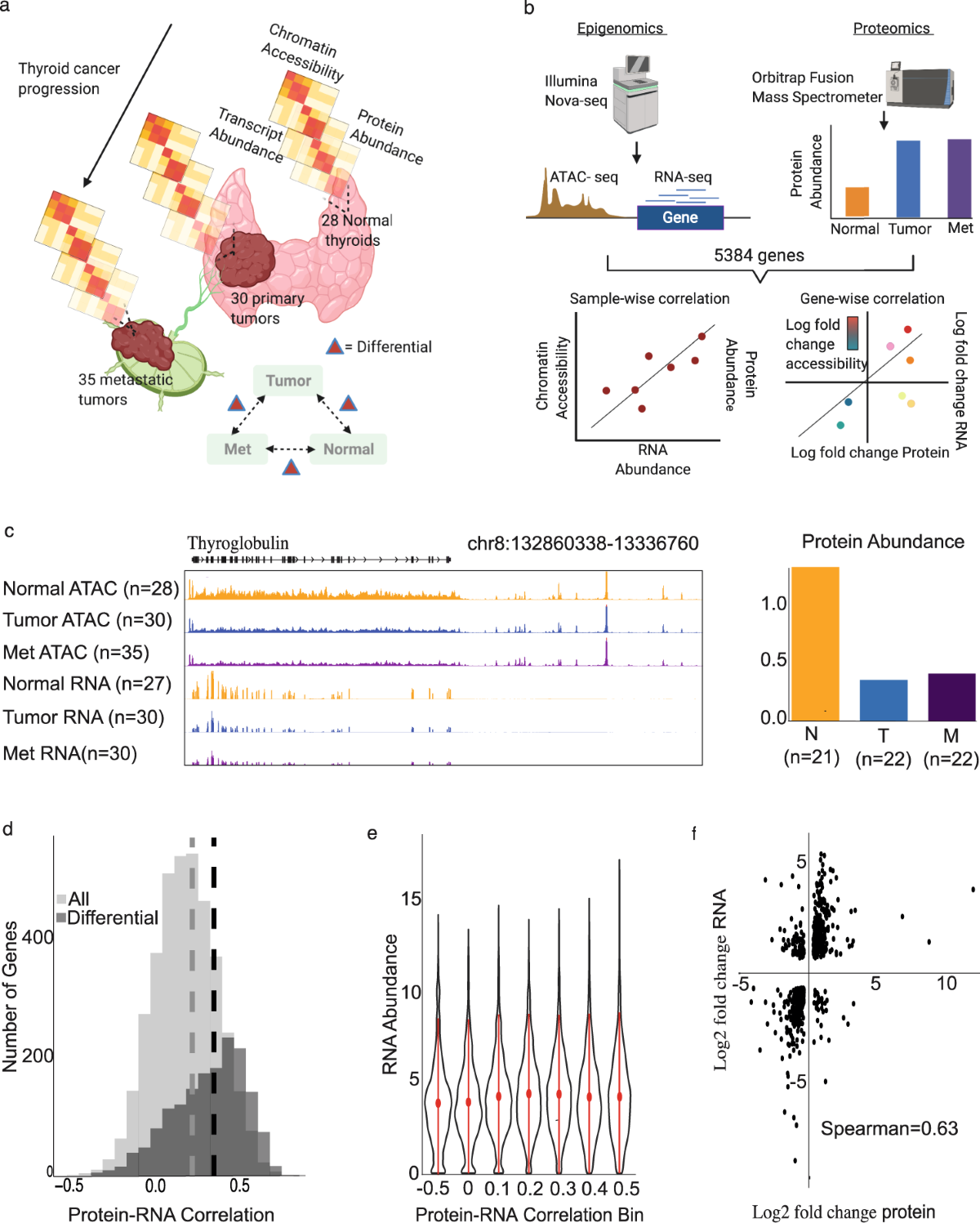 Mitochondrial-Localized Protein Transcript Abundance can Predict