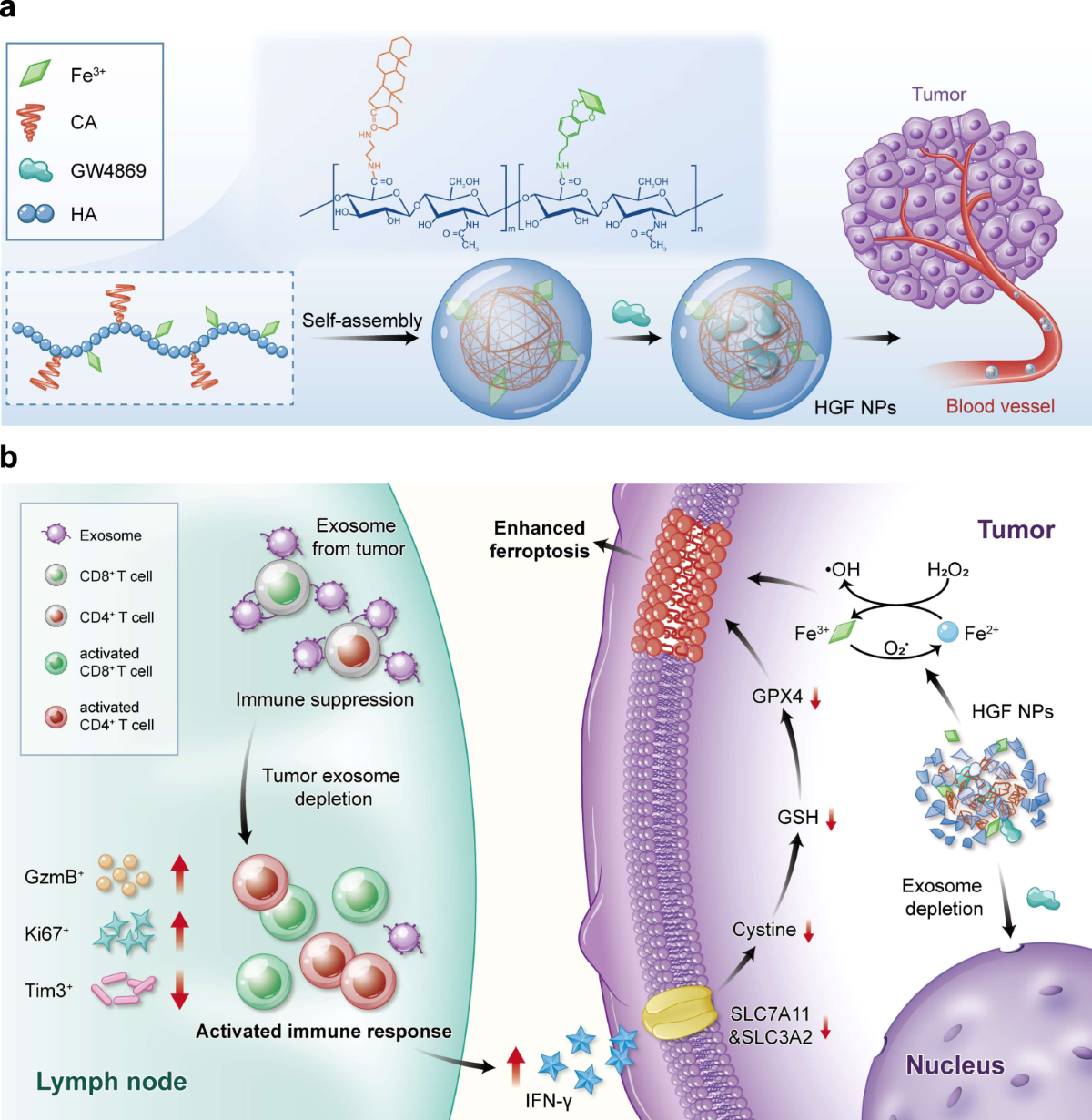 igf 1 lr3 and ipamorelin how to mix igf-1 lr3 with bacteriostatic water Buy CJC-1295 + Ipamorelin