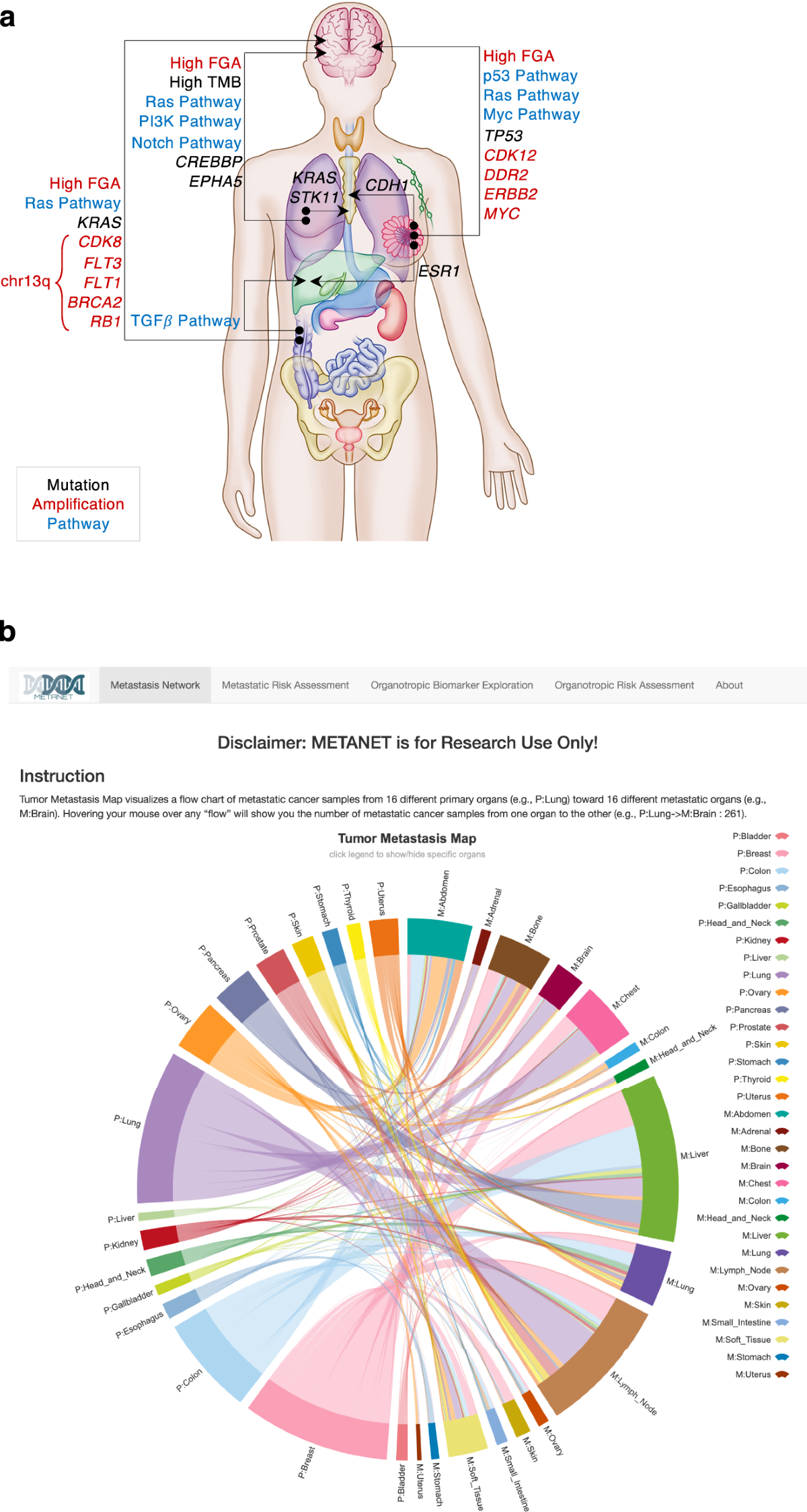 To Click Or Not To Click: Experience Winning Like Never Before with Vivi And Blogging