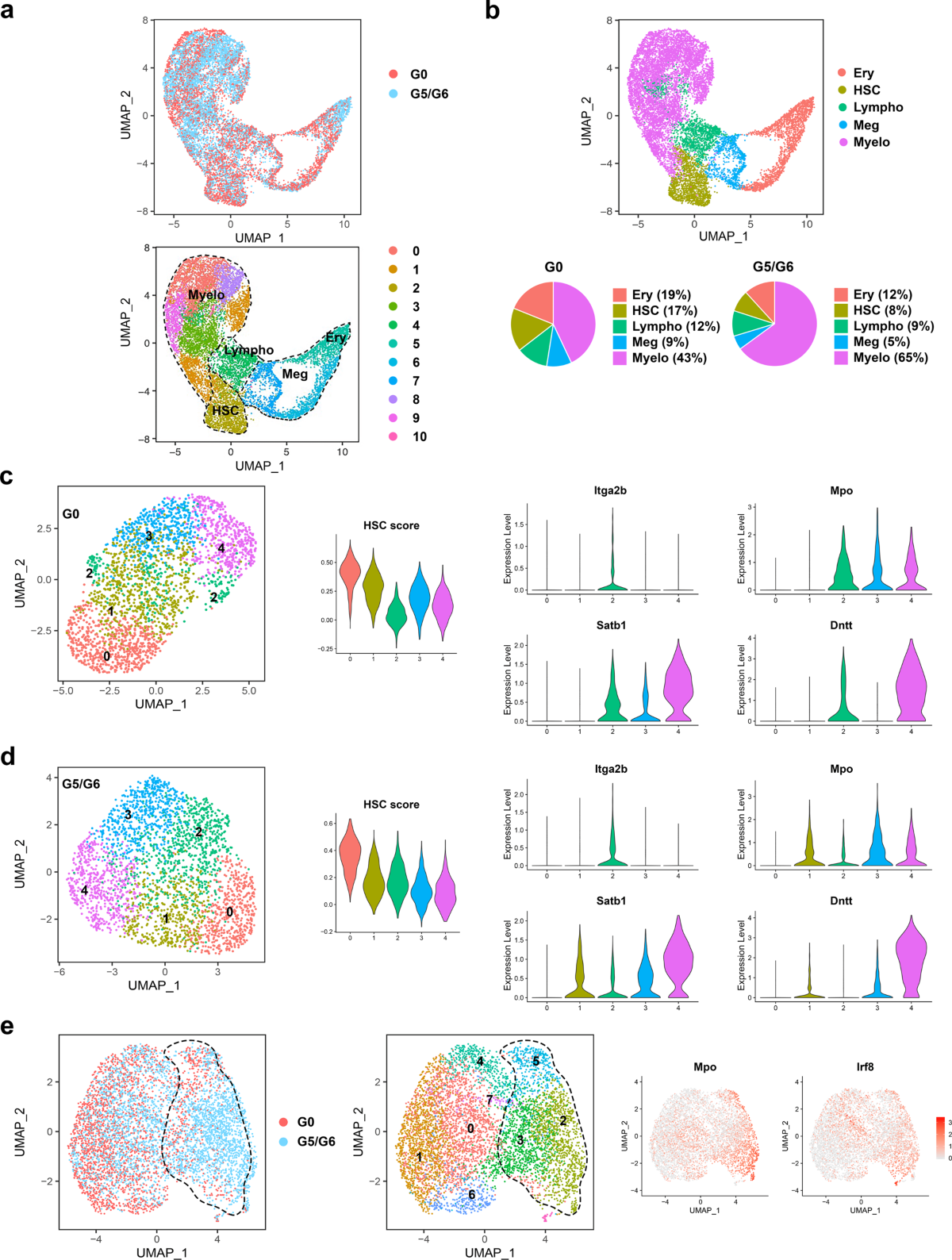 Hematopoiesis under telomere attrition at the single-cell resolution |  Nature Communications