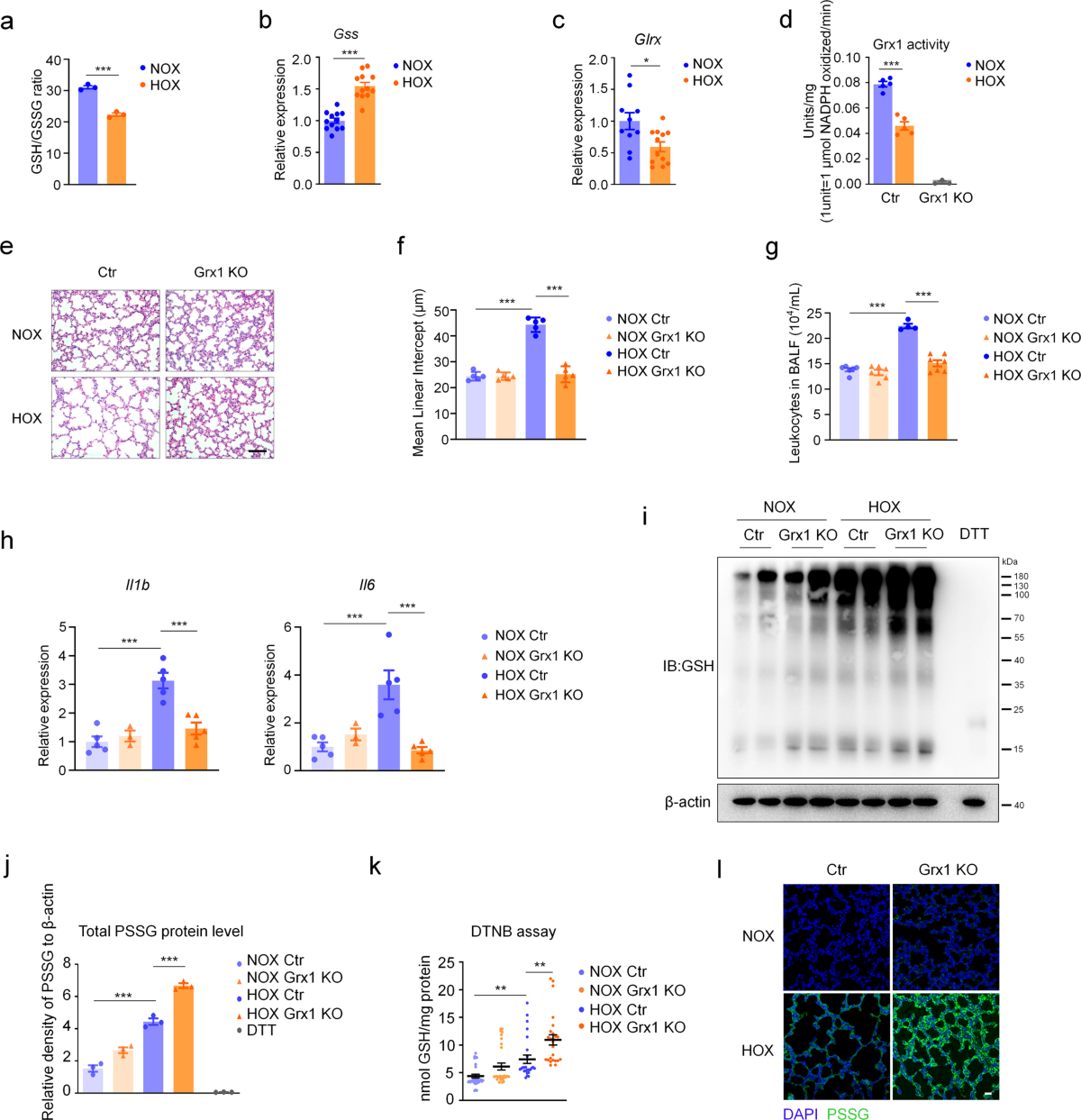 Oxidative stress-induced FABP5 S-glutathionylation protects against acute lung injury by suppressing inflammation in macrophages