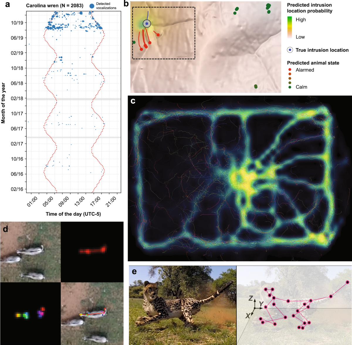 Leven met wilde dieren: van zelfvoorzieningsjacht tot internationale handel  in wilde dieren - ACEER, image size:1200x1179