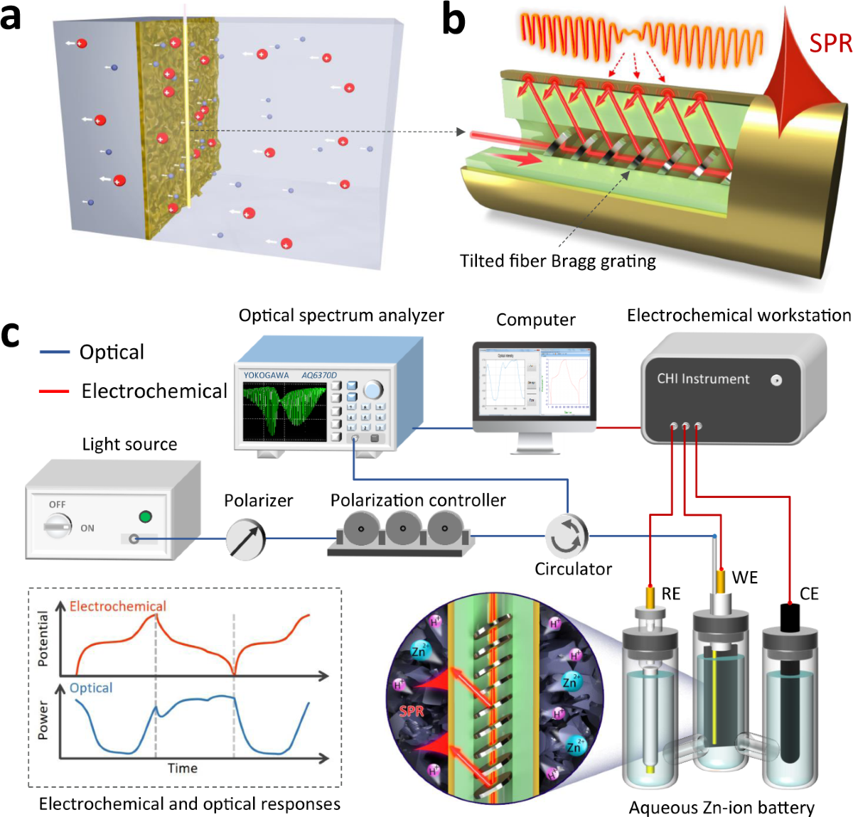 Operando monitoring of ion activities in aqueous batteries with plasmonic  fiber-optic sensors