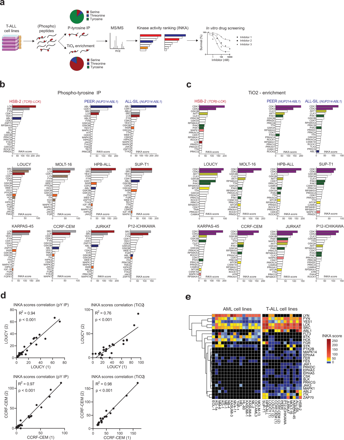Phosphoproteomic profiling of T cell acute lymphoblastic leukemia reveals  targetable kinases and combination treatment strategies | Nature  Communications