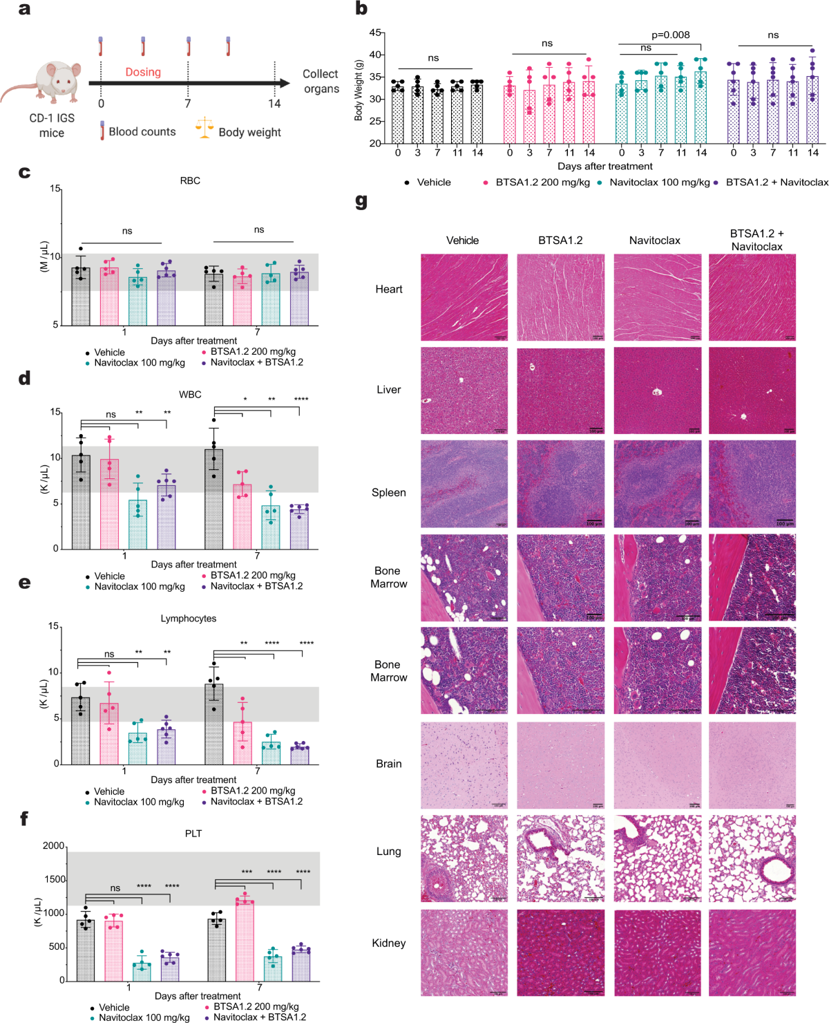 Co-targeting of BAX and BCL-XL proteins broadly overcomes resistance to  apoptosis in cancer | Nature Communications