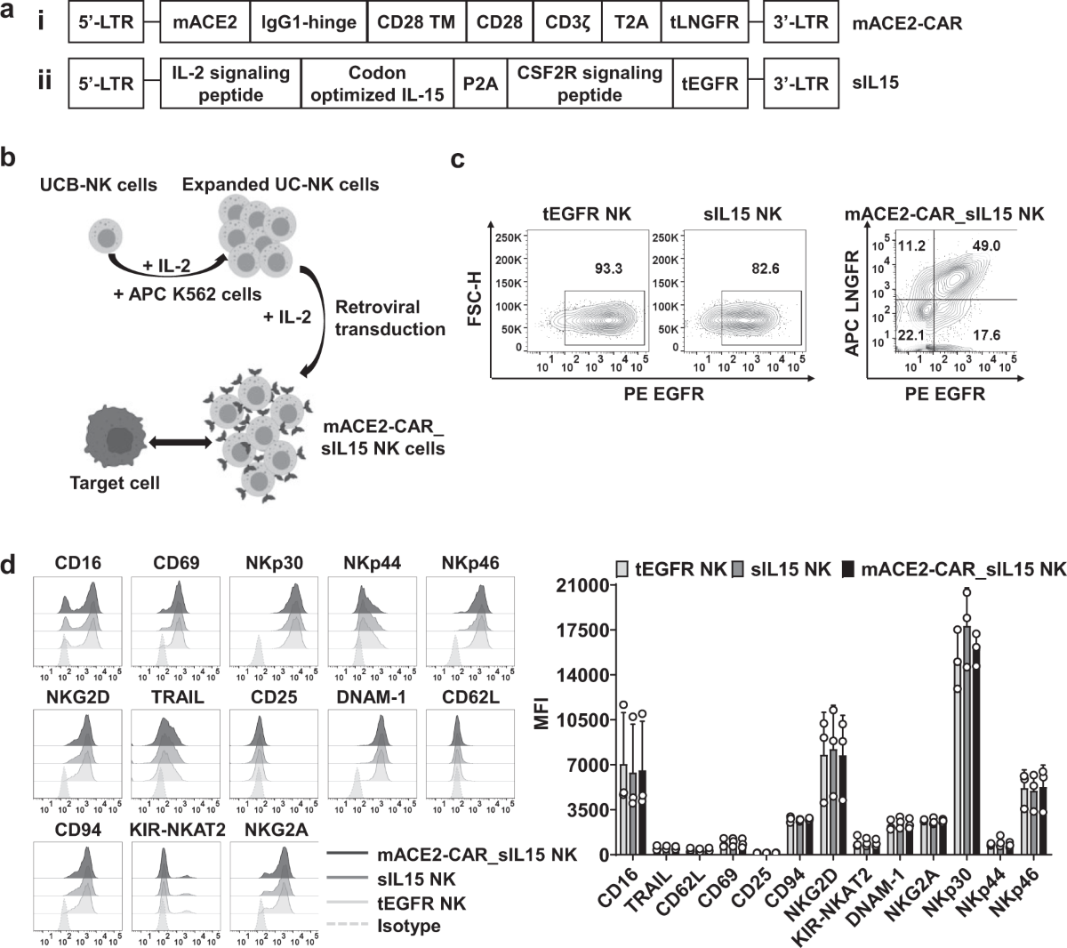 Off-the-shelf CAR natural killer cells secreting IL-15 target spike in treating COVID-19 | Nature Communications