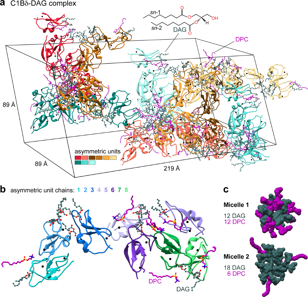 Structural anatomy of Protein Kinase C C1 domain interactions with  diacylglycerol and other agonists | Nature Communications