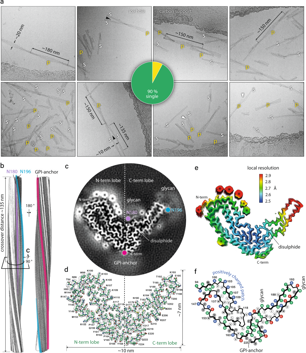 2.7 Å cryo-EM structure of ex vivo RML prion fibrils | Nature Communications 2-7-cryo-em-structure-of-ex-vivo-rml-prion-fibrils-nature-communications