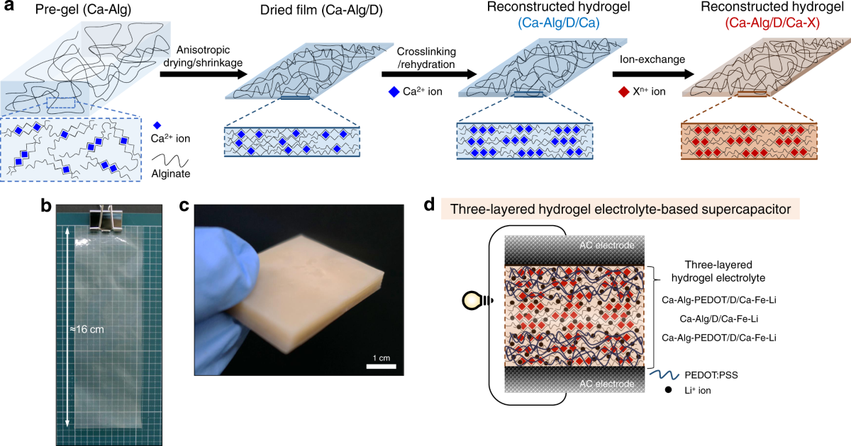 Superstrong, superstiff, and conductive alginate hydrogels