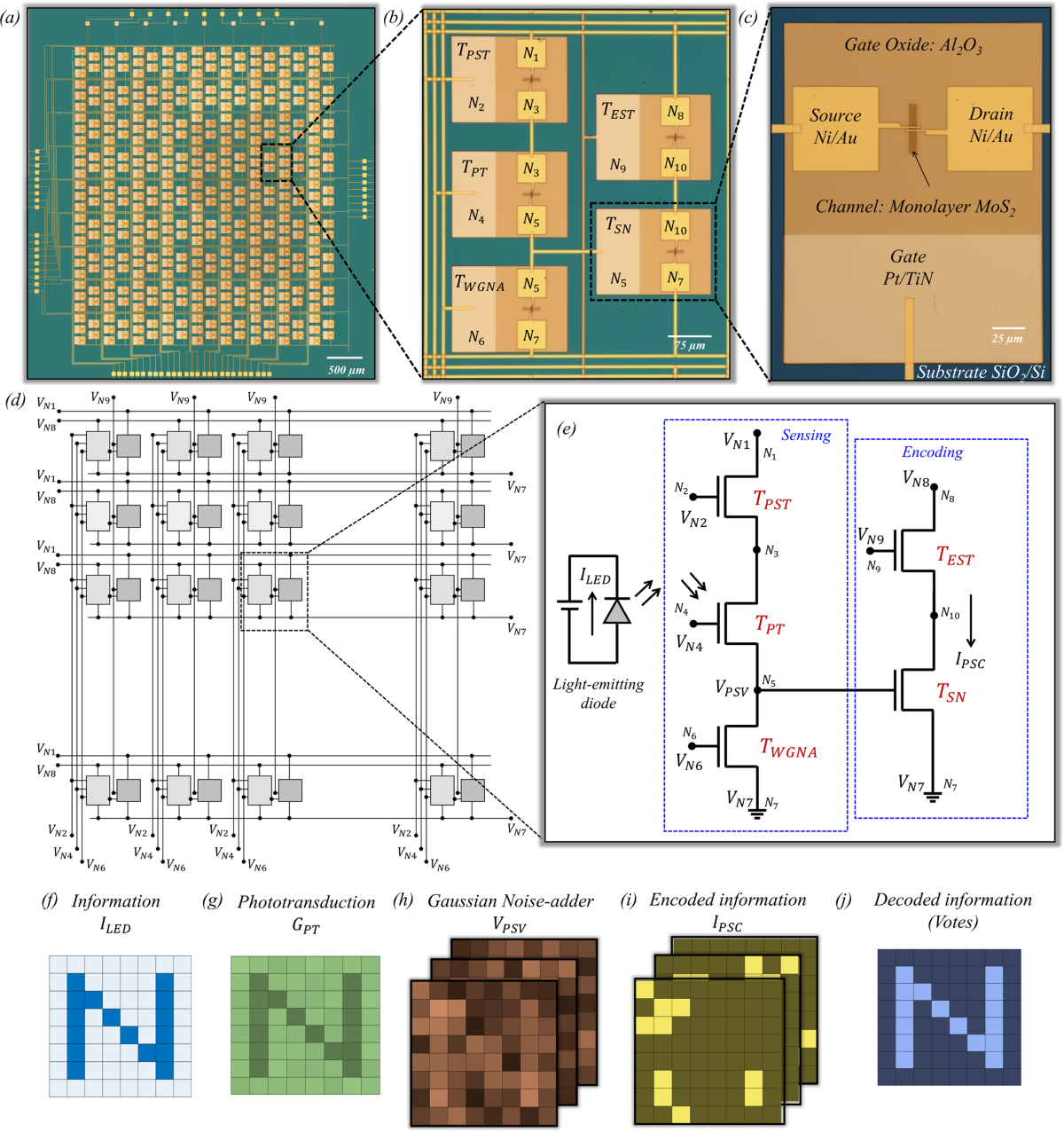 All-in-one, bio-inspired, and low-power crypto engines for near-sensor  security based on two-dimensional memtransistors | Nature Communications