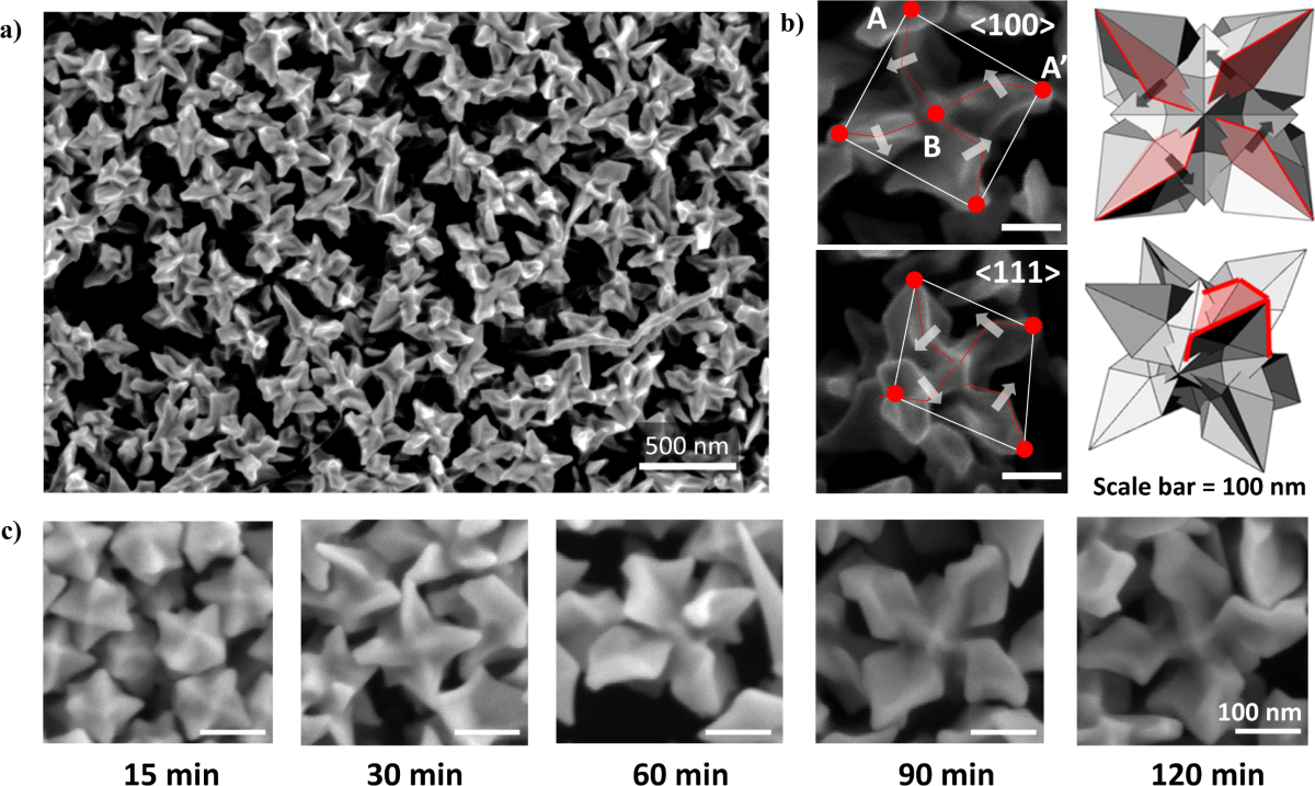 Adenine oligomer directed synthesis of chiral gold nanoparticles