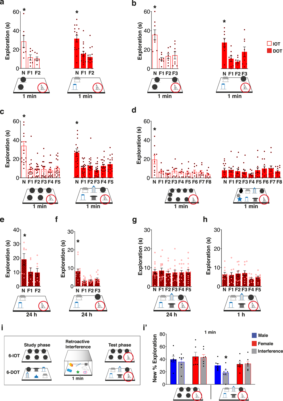 Thalamo-hippocampal pathway regulates incidental memory capacity in mice |  Nature Communications