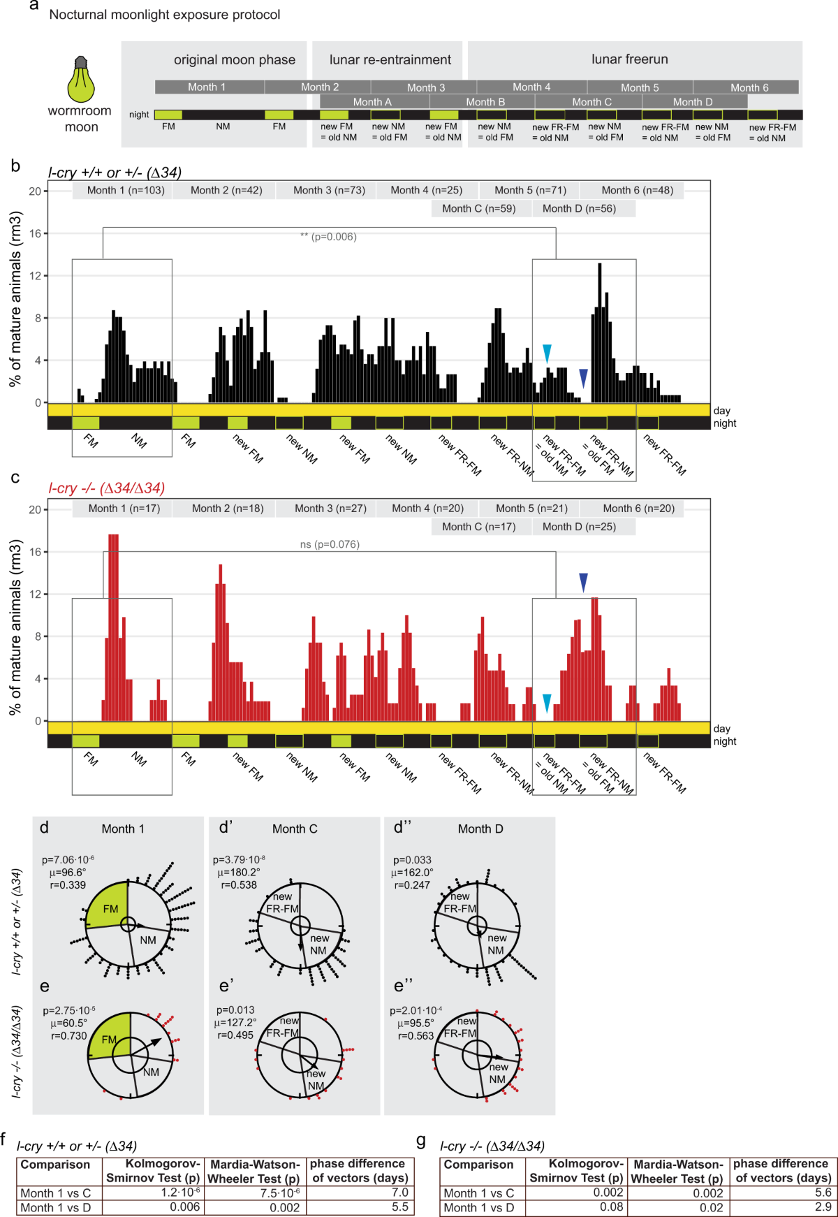 A Cryptochrome adopts distinct moon- and sunlight states and functions as  sun- versus moonlight interpreter in monthly oscillator entrainment |  Nature Communications