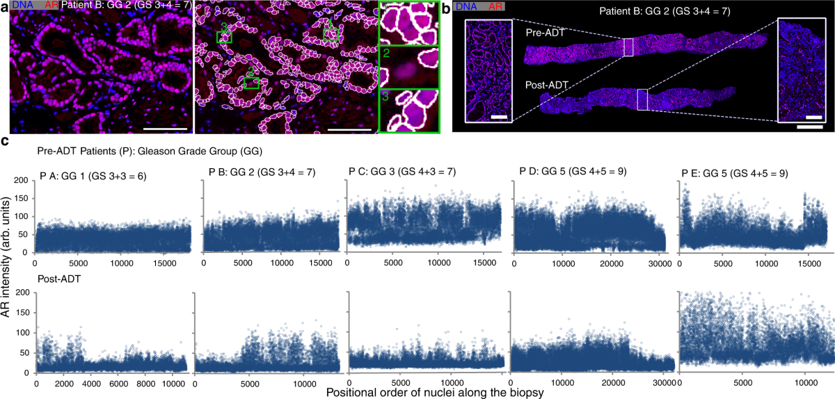 https://media.springernature.com/lw1200/springer-static/image/art%3A10.1038%2Fs41467-022-33069-3/MediaObjects/41467_2022_33069_Fig1_HTML.png