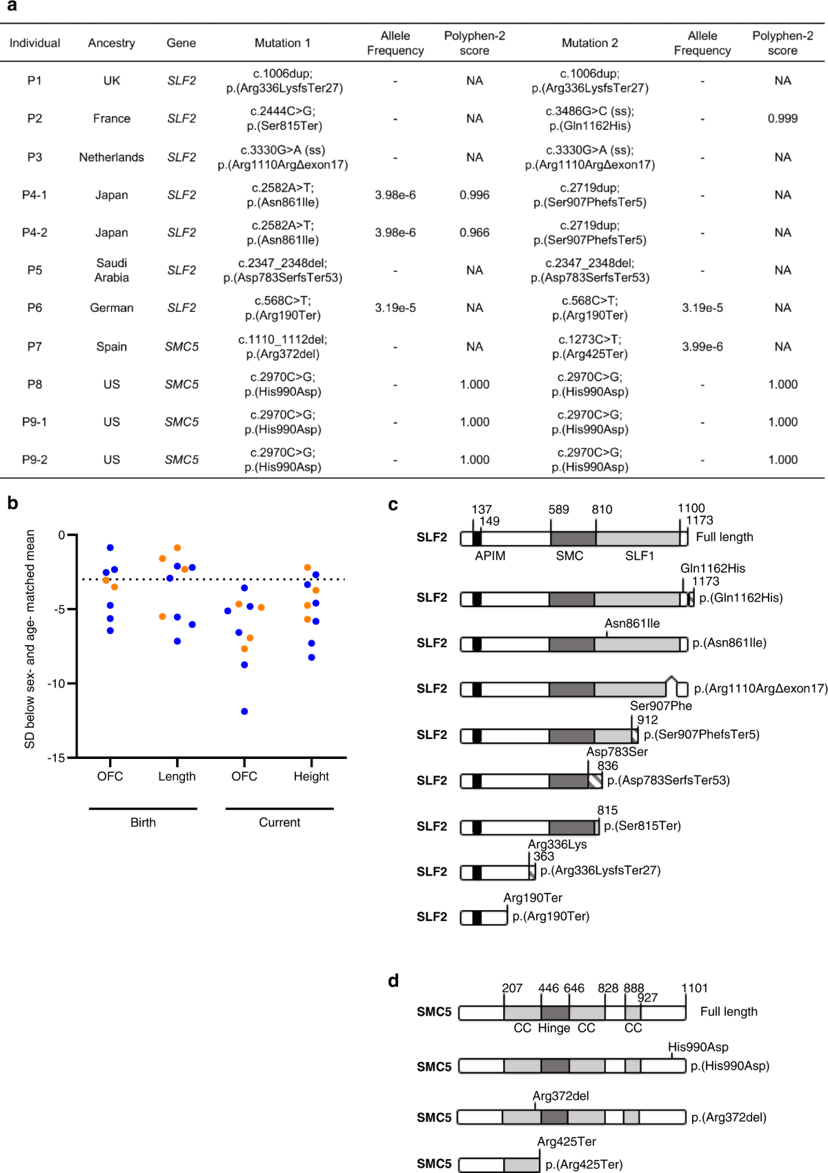 Pathogenic variants in SLF2 and SMC5 cause segmented chromosomes and mosaic variegated hyperploidy | Nature Communications pathogenic-variants-in-slf2-and-smc5-cause-segmented-chromosomes-and-mosaic-variegated-hyperploidy-nature-communications