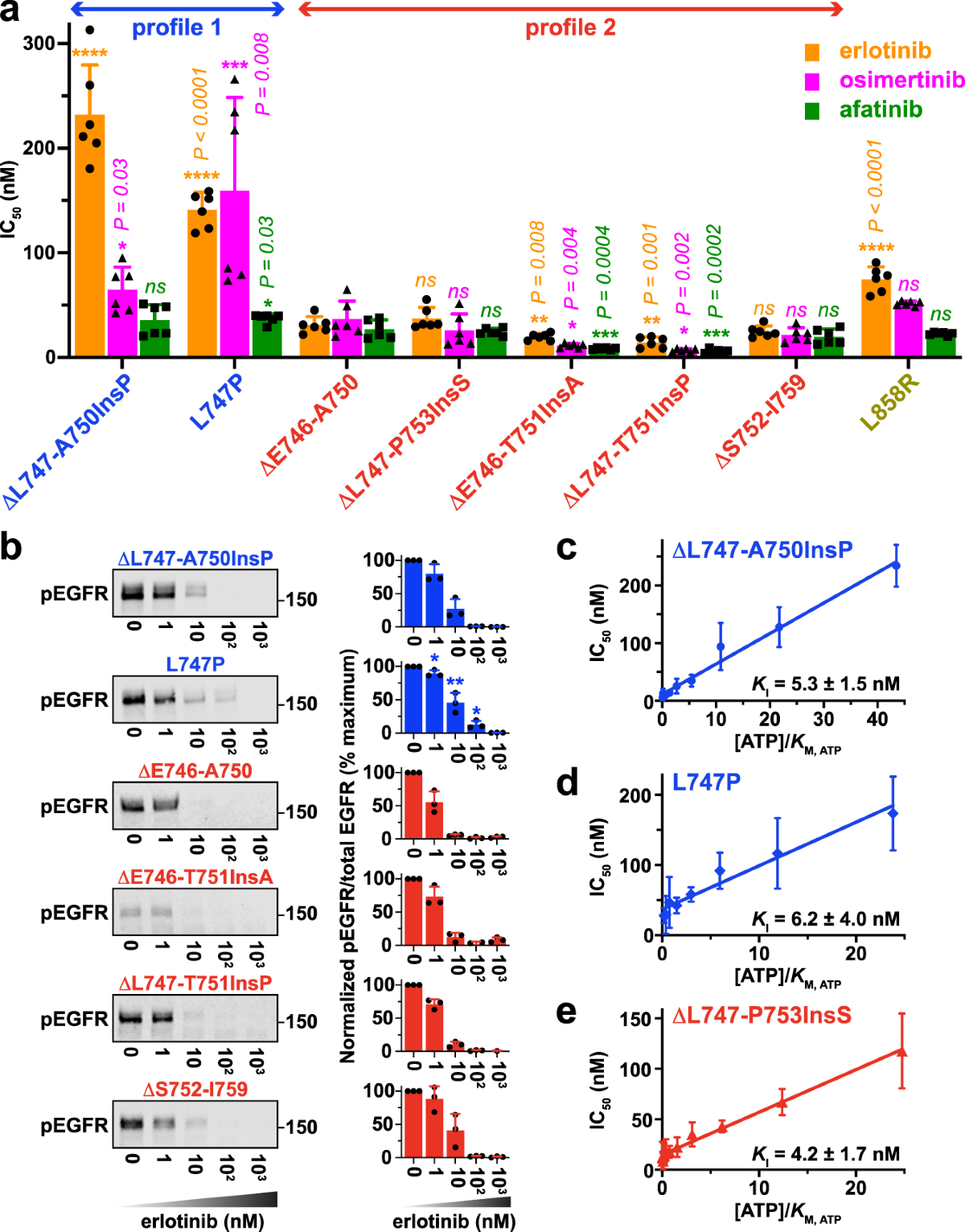 Biochemical and structural basis for differential inhibitor sensitivity of  EGFR with distinct exon 19 mutations | Nature Communications