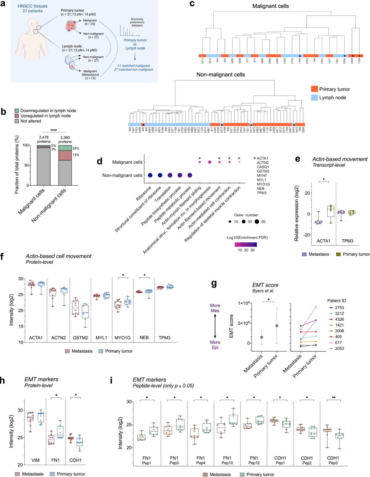 Connecting multiple microenvironment proteomes uncovers the biology in head  and neck cancer | Nature Communications