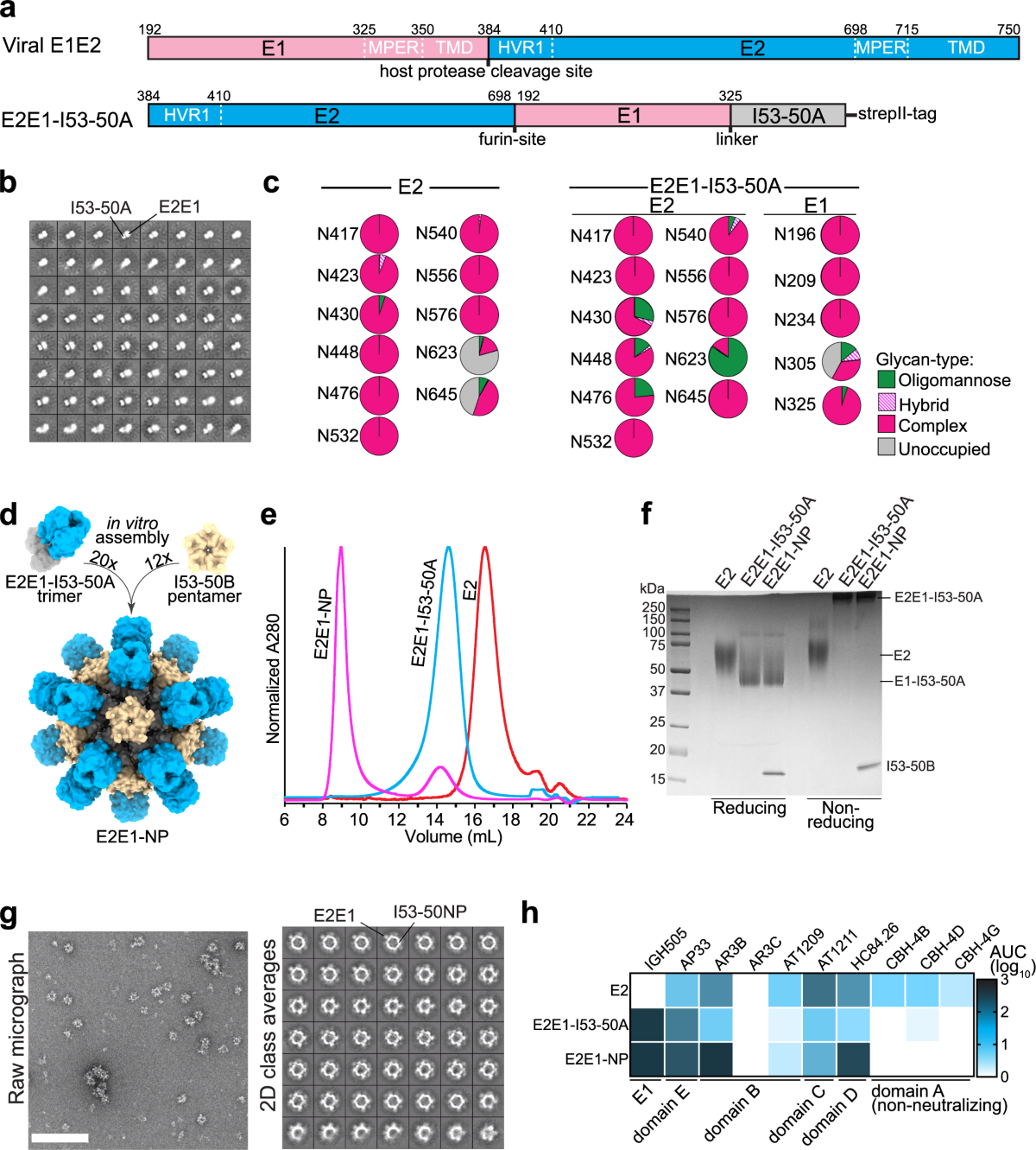 ghk-cu immunogenicity antibodies neutralizing Induction of cross-neutralizing antibodies by a permuted hepatitis C virus  glycoprotein nanoparticle vaccine candidate