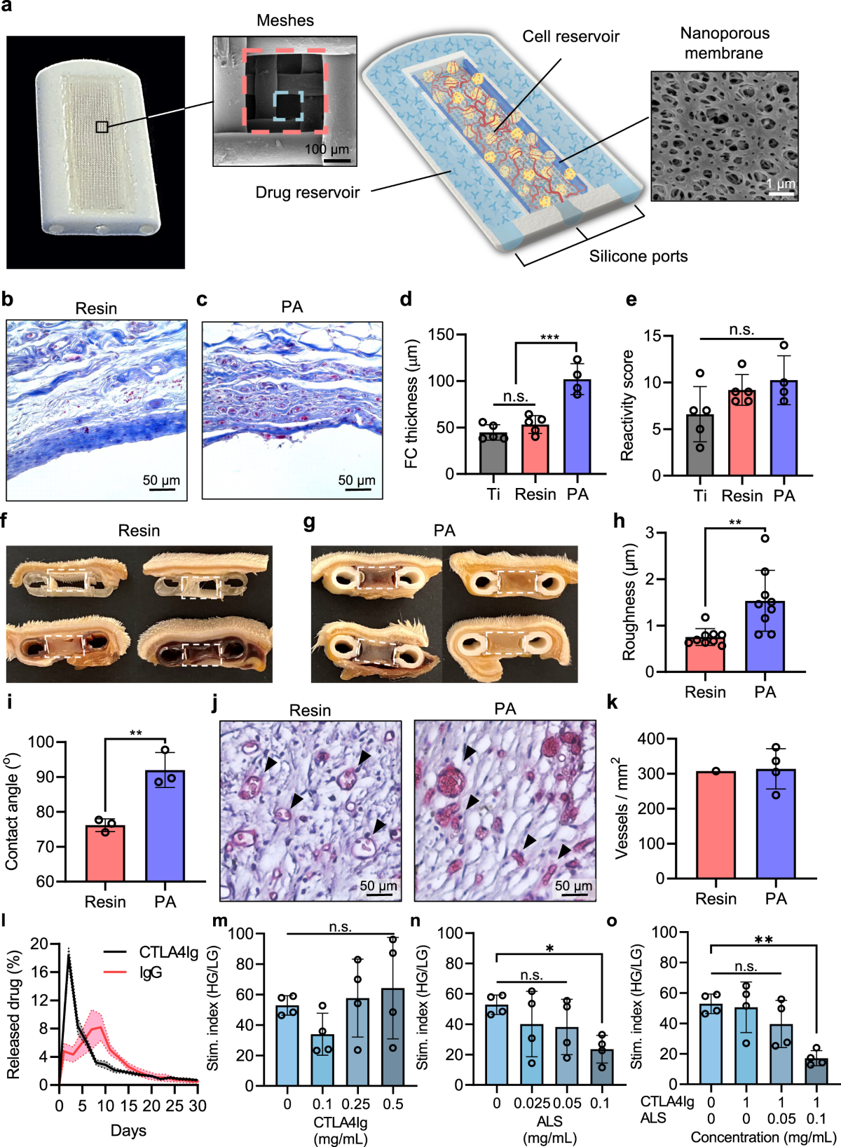 Implantable niche with local immunosuppression for islet  allotransplantation achieves type 1 diabetes reversal in rats | Nature  Communications