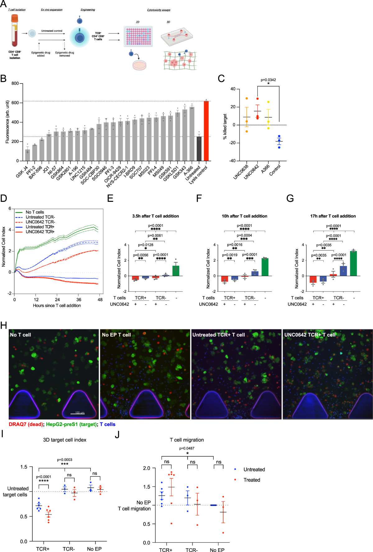 G9a/GLP inhibition during ex vivo lymphocyte expansion increases in vivo  cytotoxicity of engineered T cells against hepatocellular carcinoma |  Nature Communications