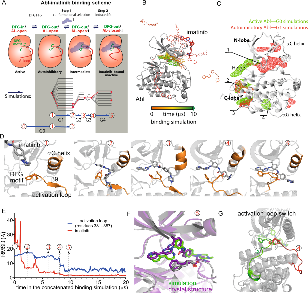 Structural mechanism of a drug-binding process involving a large conformational change of the protein target | Nature Communications structural-mechanism-of-a-drug-binding-process-involving-a-large-conformational-change-of-the-protein-target-nature-communications