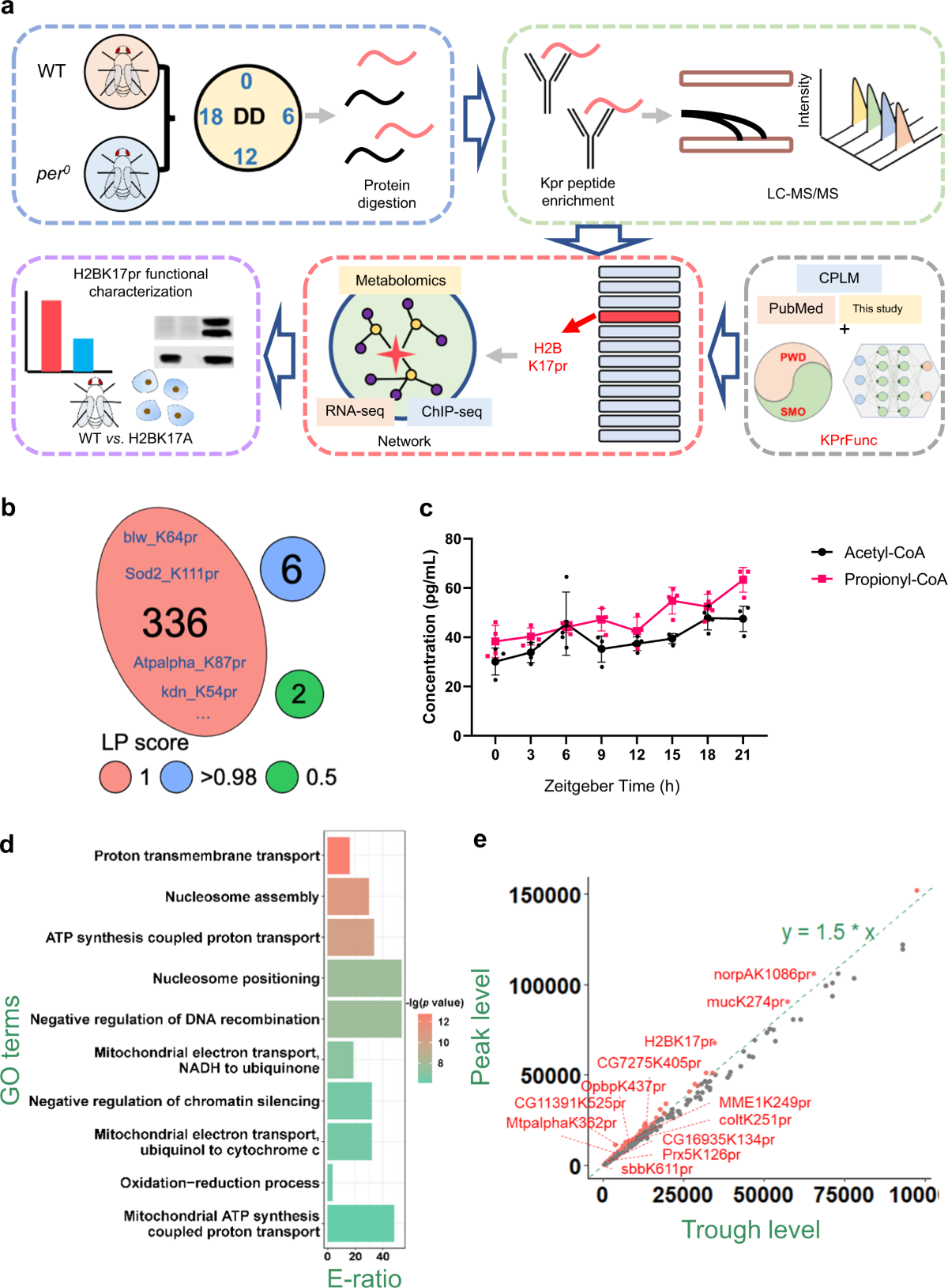 Small-sample learning reveals propionylation in determining global protein  homeostasis | Nature Communications