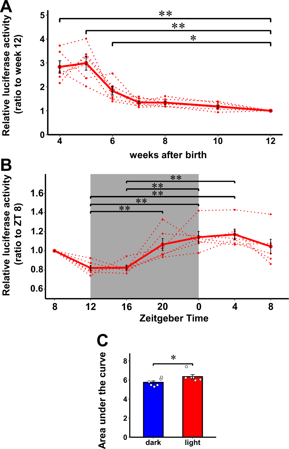 A highly sensitive strategy for monitoring real-time proliferation of  targeted cell types in vivo | Nature Communications