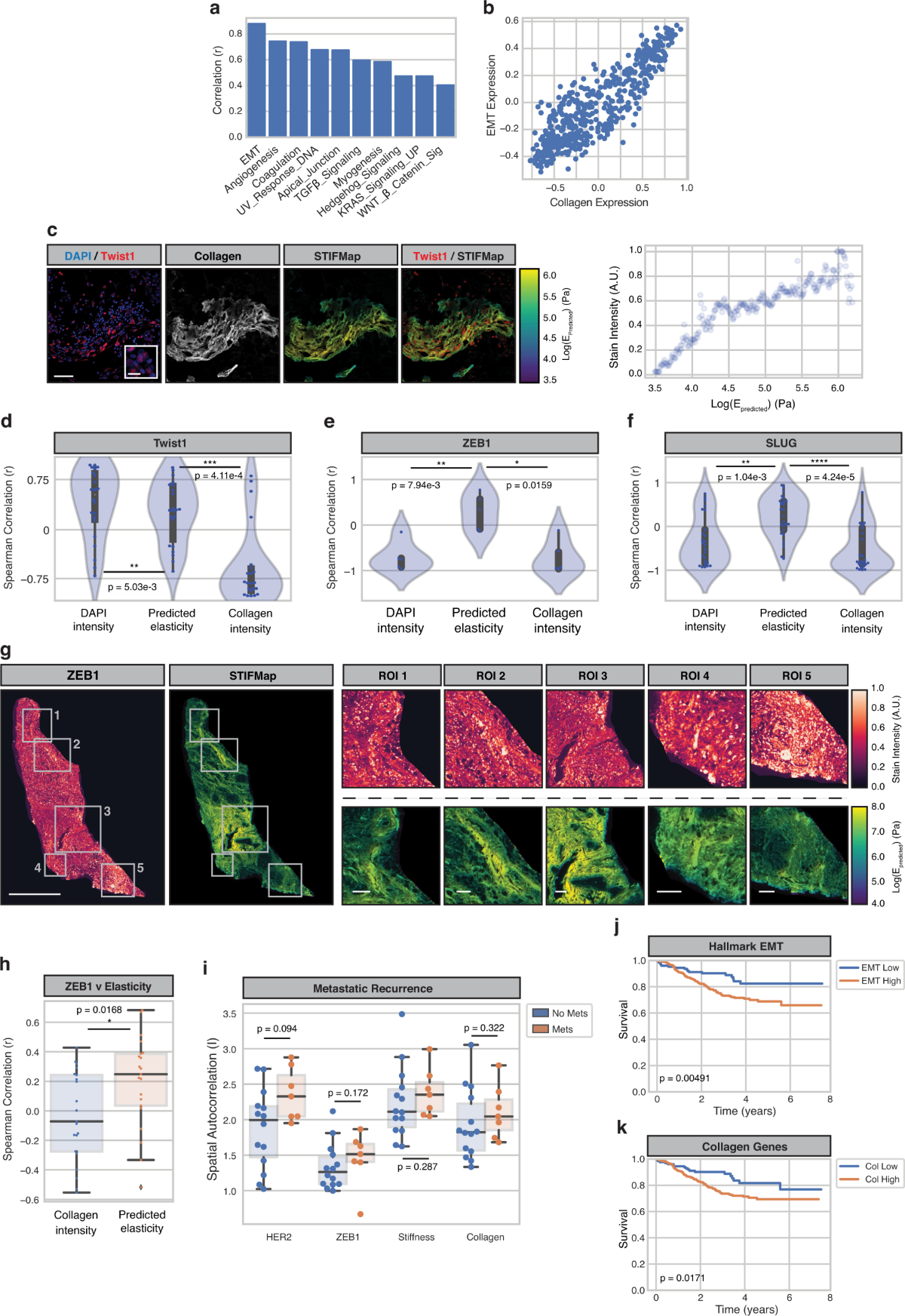 A convolutional neural network STIFMap reveals associations between stromal  stiffness and EMT in breast cancer | Nature Communications