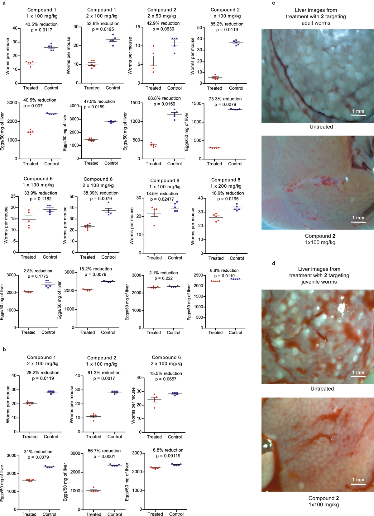 Non-covalent inhibitors of thioredoxin glutathione reductase with  schistosomicidal activity in vivo | Nature Communications