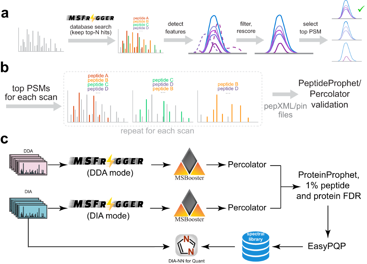 Analysis of DIA proteomics data using MSFragger-DIA and FragPipe