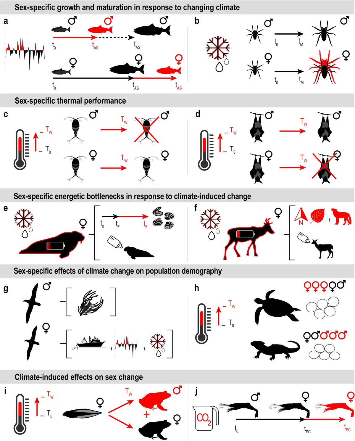 Exploring climate-induced sex-based differences in aquatic and terrestrial  ecosystems to mitigate biodiversity loss | Nature Communications