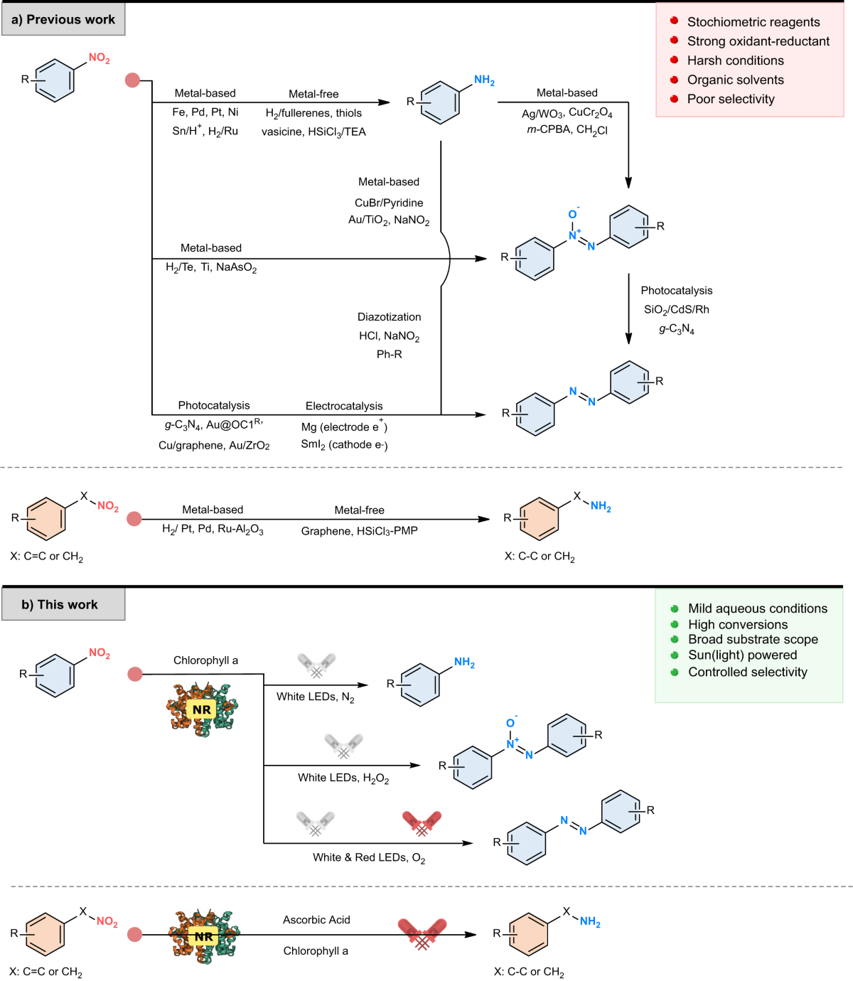 Tailored photoenzymatic systems for selective reduction of aliphatic and  aromatic nitro compounds fueled by light | Nature Communications